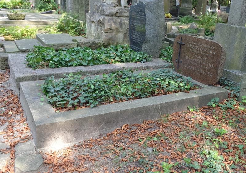 Zdjęcie grobu: Stanisław Brzozowski