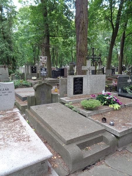 Zdjęcie grobu: Henryk Hartman