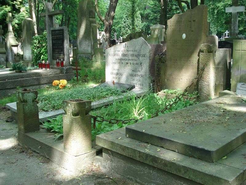 Zdjęcie grobu Marta Koźniewska (1)