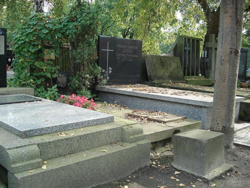 Zdjęcie grobu Ligia Maria Harasimowicz (1)