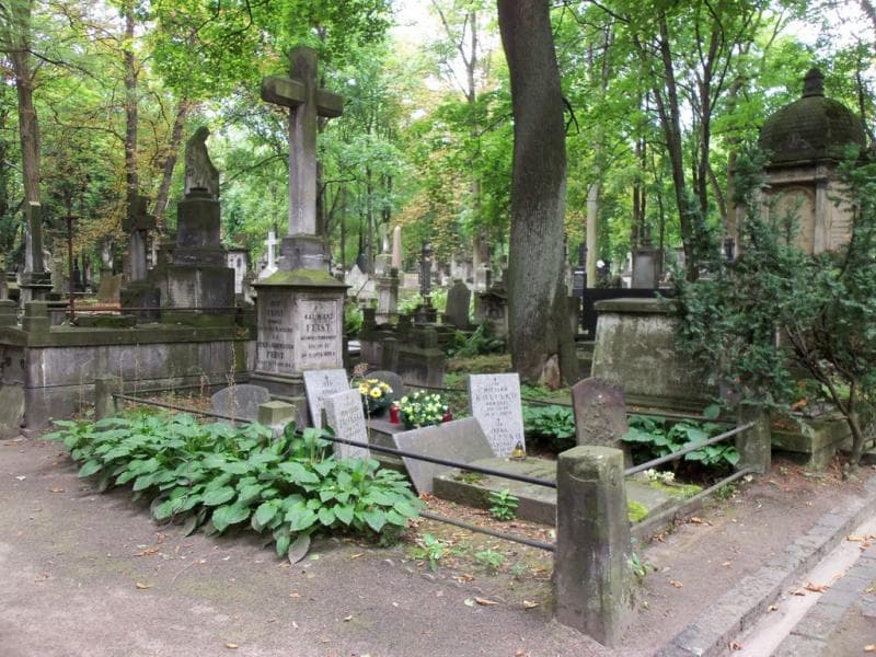 Zdjęcie grobu Zofia Butrym (1)