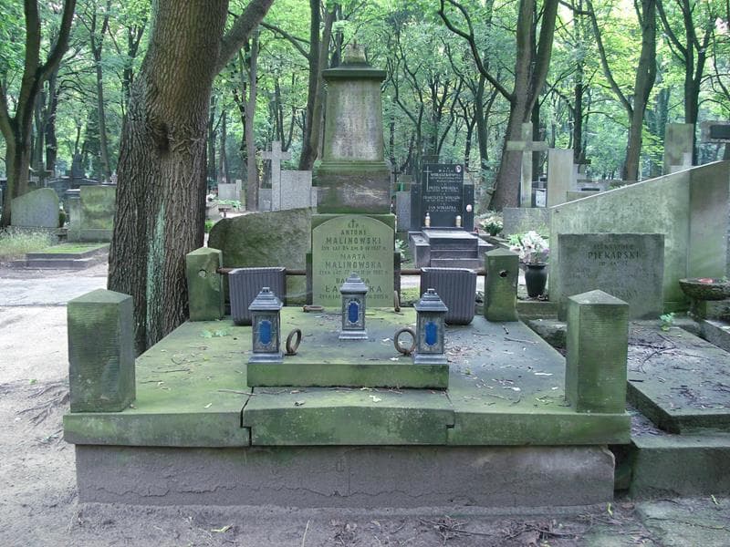 Zdjęcie grobu: Maniuś Wudkowski