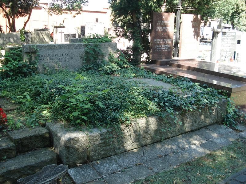 Zdjęcie grobu Matylda Dobrowolska (1)