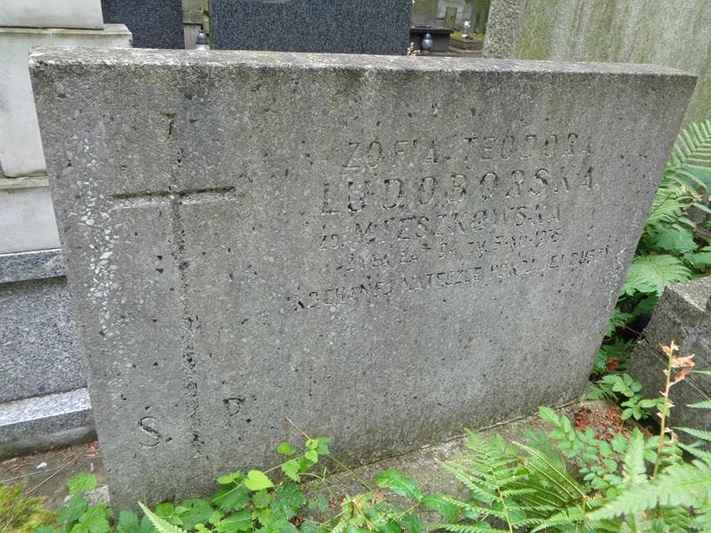 Zdjęcie grobu Zofia Teodora Ludoborska (2)