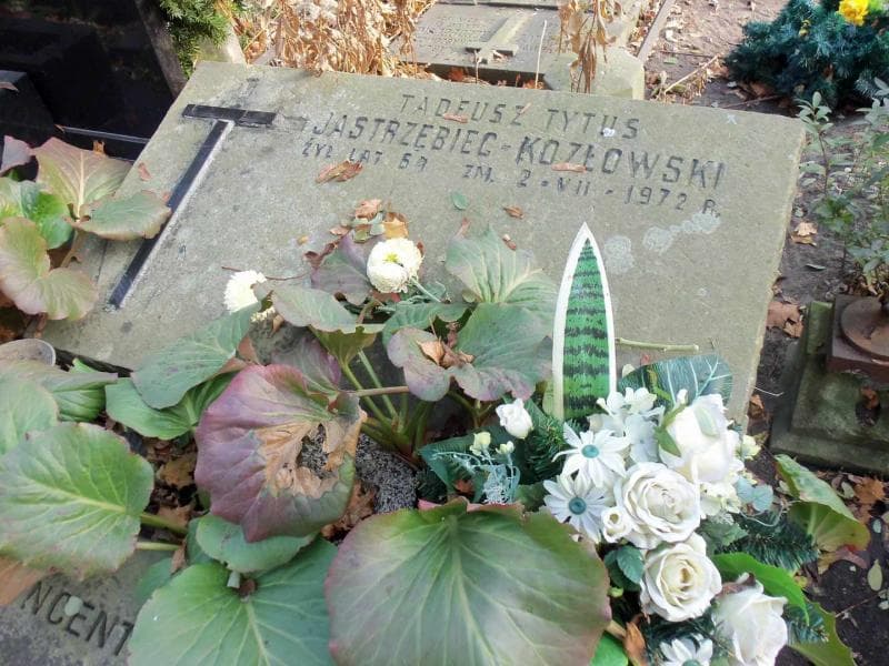 Zdjęcie grobu Maria Kozłowska (2)