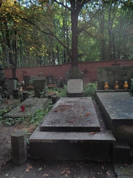 Zdjęcie grobu Aleksandra Kniaziewicz (1)