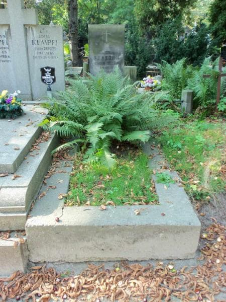 Zdjęcie grobu: Franciszek Perednia