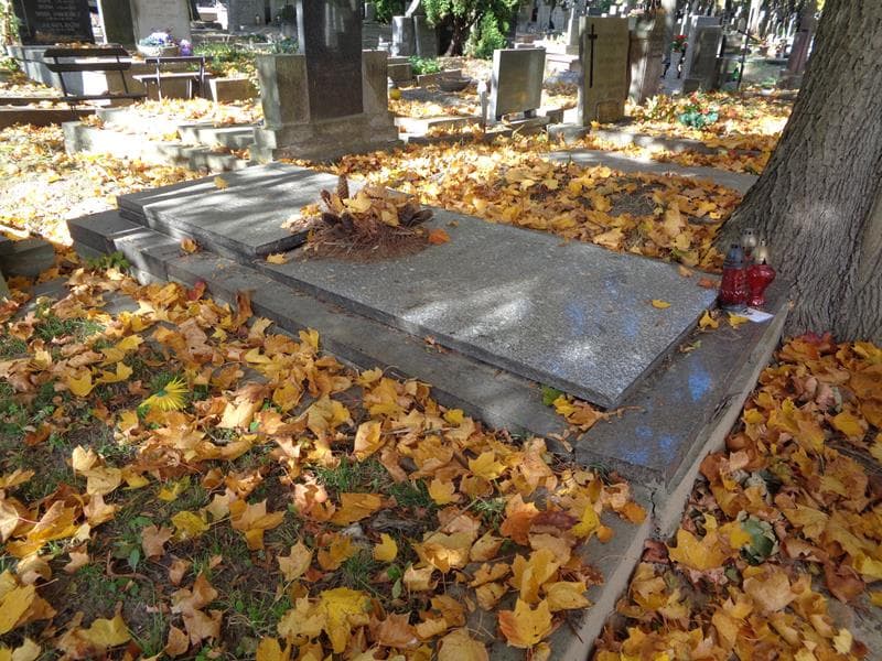 Zdjęcie grobu: Franciszek Jakubowski