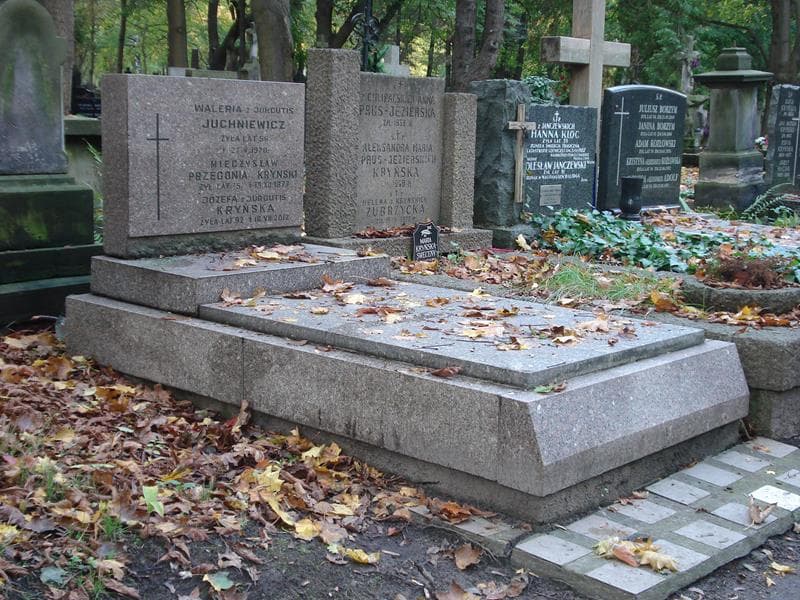 Zdjęcie grobu Józefa Kryńska (1)