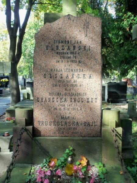 Zdjęcie grobu Zygmunt Jan Olszański (2)