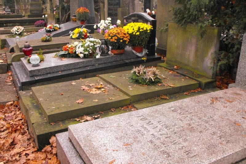 Zdjęcie grobu Henryk Tempłowicz (1)