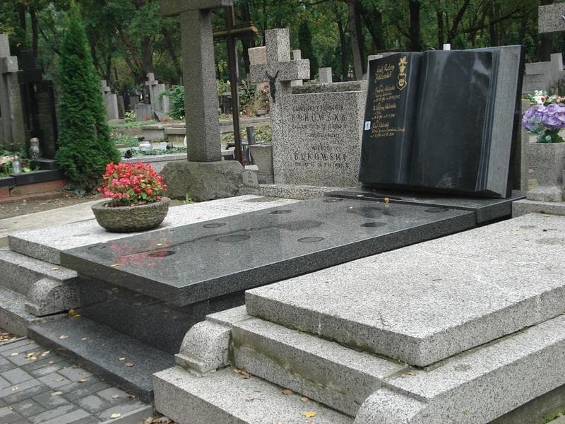 Zdjęcie grobu Fryderyk Głodziński (1)