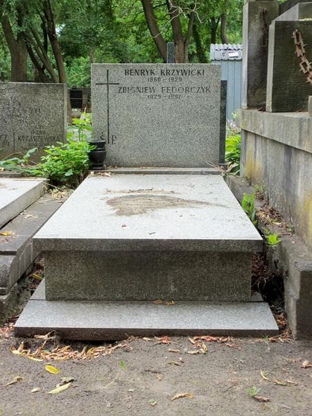 Zdjęcie grobu: Henryk Krzywicki