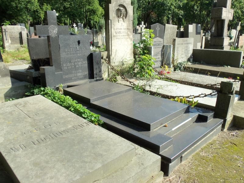 Zdjęcie grobu Piotr Dmitrejew-Brzozowski (1)