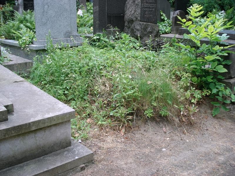 Zdjęcie grobu: Pole Grobowe