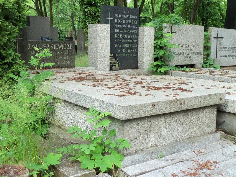 Zdjęcie grobu Mirosława Załuszkiewicz (1)