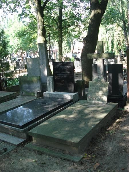 Zdjęcie grobu Natalia Brandtowa (1)