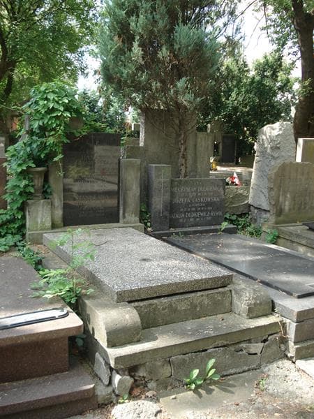 Zdjęcie grobu Ewa Hanak (1)