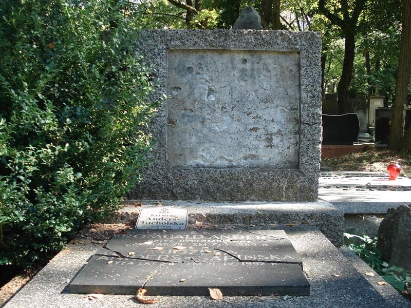 Zdjęcie grobu Romuald Anders (2)