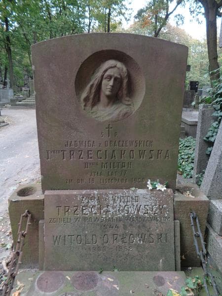Zdjęcie grobu Witold Trzeciakowski (2)