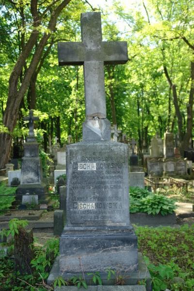 Zdjęcie grobu Aniela Ciechanowska (2)