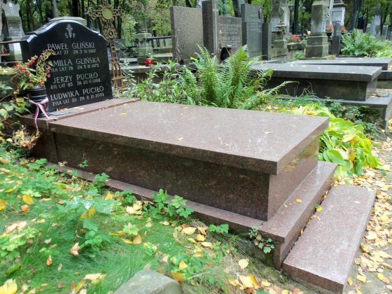 Zdjęcie grobu Ludwika Puciło (1)
