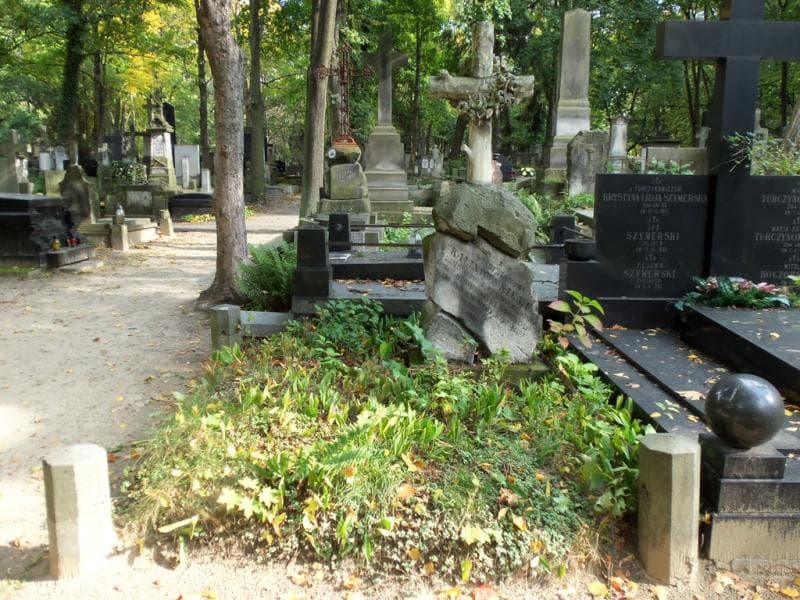 Zdjęcie grobu: Feliks Lipiński