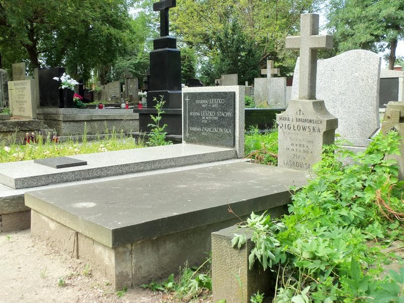 Zdjęcie grobu Zofia Laskowska (1)