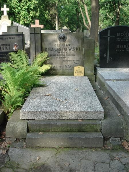 Zdjęcie grobu: Czesław Brzostowski