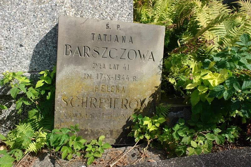 Zdjęcie grobu ... Barszczowa (2)