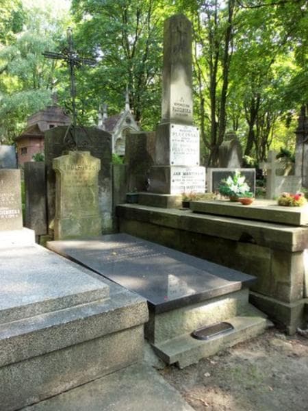 Zdjęcie grobu Henryk Lenartowicz (1)