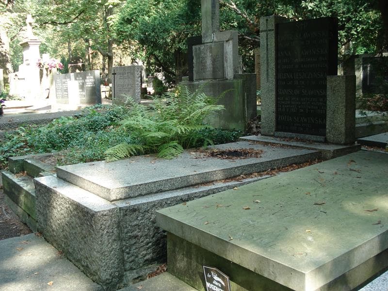 Zdjęcie grobu Anna Sławińska (1)