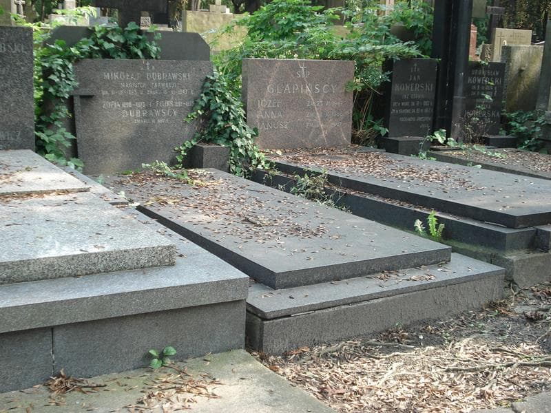 Zdjęcie grobu Feliks Dubrawski (1)