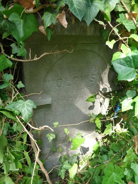 Zdjęcie grobu Edward Wolowski (2)