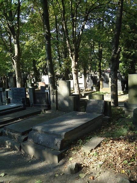 Zdjęcie grobu Michalina Tomkiewiczowa (1)