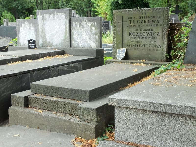 Zdjęcie grobu Aleksander Kozłowicz (1)