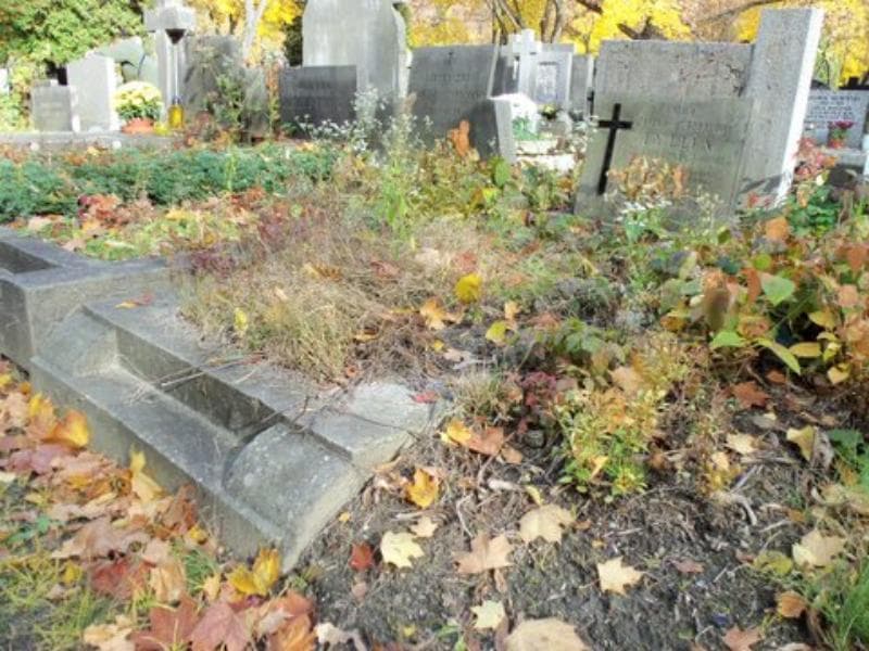Zdjęcie grobu Janina Tyllia (1)