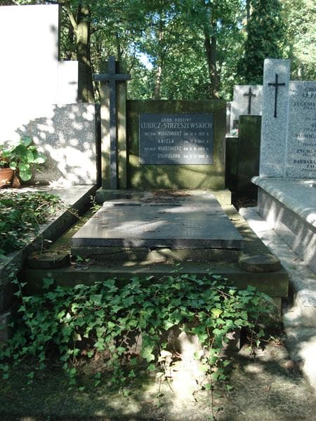 Zdjęcie grobu: Włodzimierz Lubicz-Strzeszewski