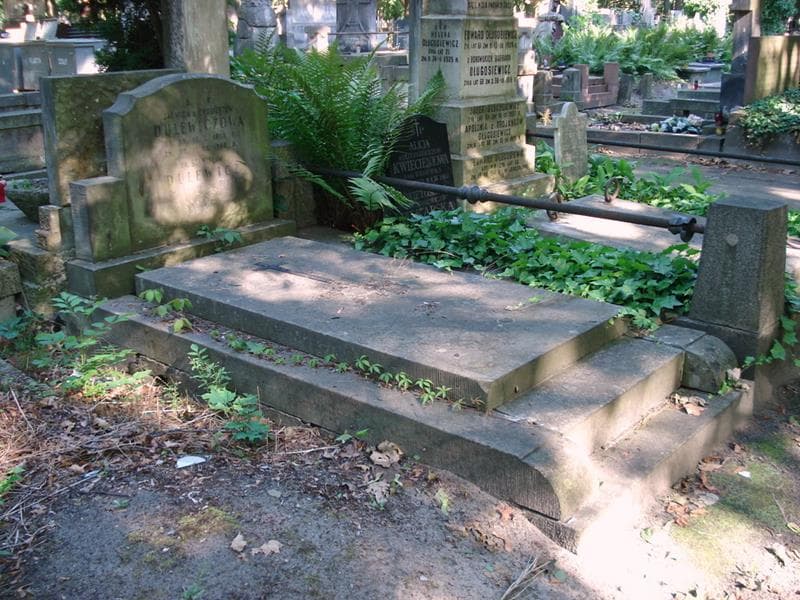 Zdjęcie grobu: Stanisław Dulewicz