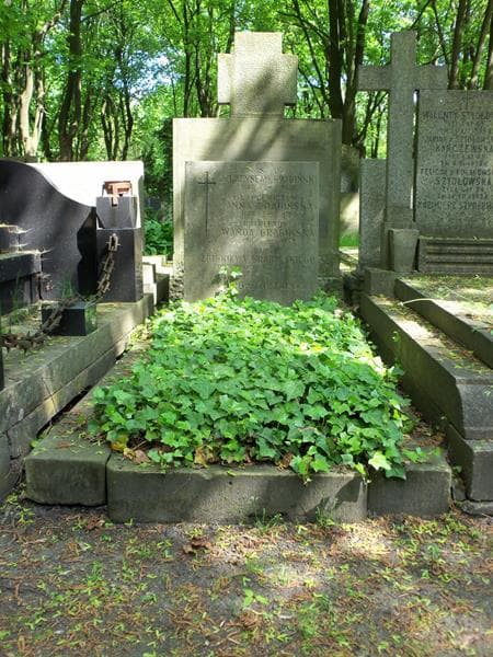 Zdjęcie grobu: Anna Grabińska