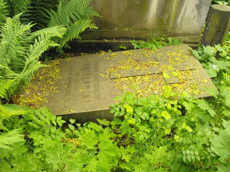 Zdjęcie grobu Antonina Chmielowska (1)