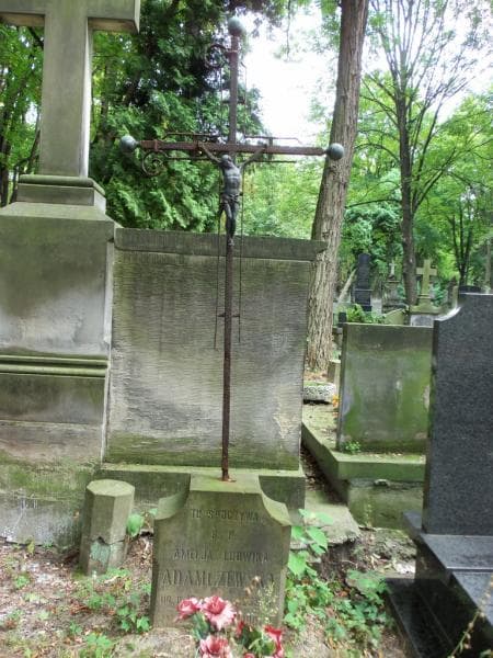 Zdjęcie grobu Amelja Ludwika Adamczewska (2)