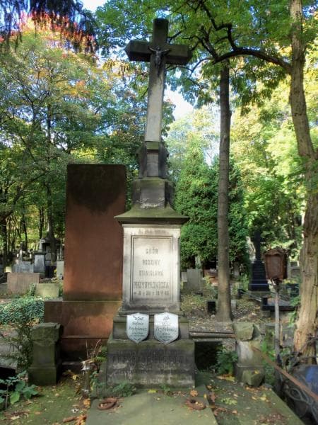 Zdjęcie grobu Juljan Budkowski (2)