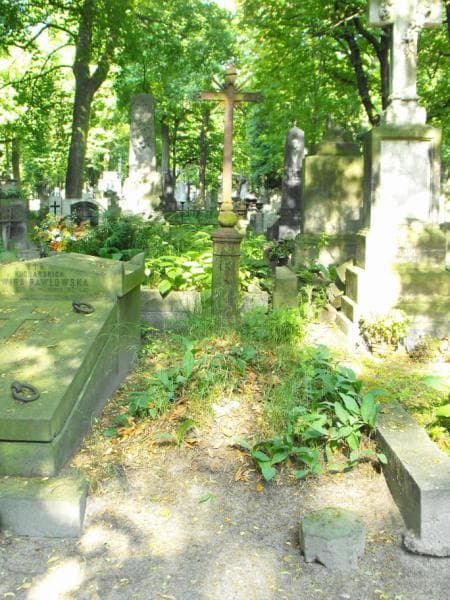 Zdjęcie grobu: Franciszek Jaszowski
