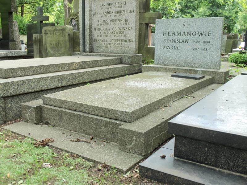 Zdjęcie grobu Stanisław Herman (1)