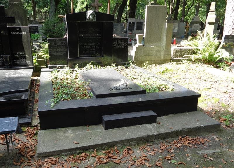 Zdjęcie grobu Anna Dąbrowska (1)