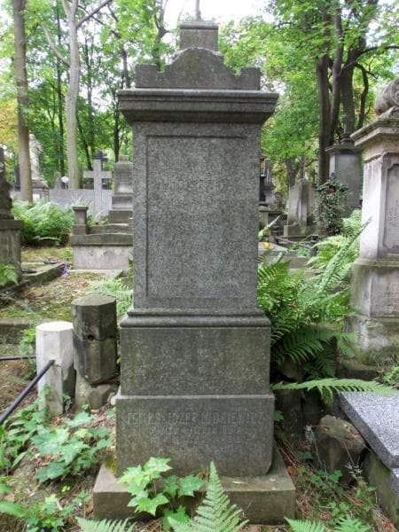 Zdjęcie grobu Feliks Józef Ludkiewicz (2)