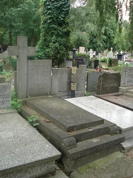 Zdjęcie grobu Zofia Nawrocka (1)