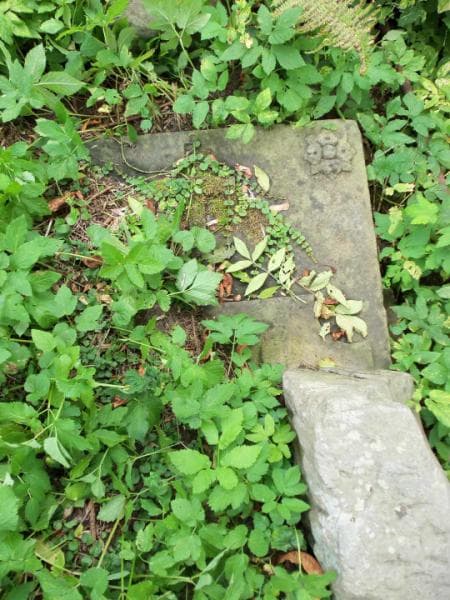 Zdjęcie grobu Ludwika Bromirska (2)