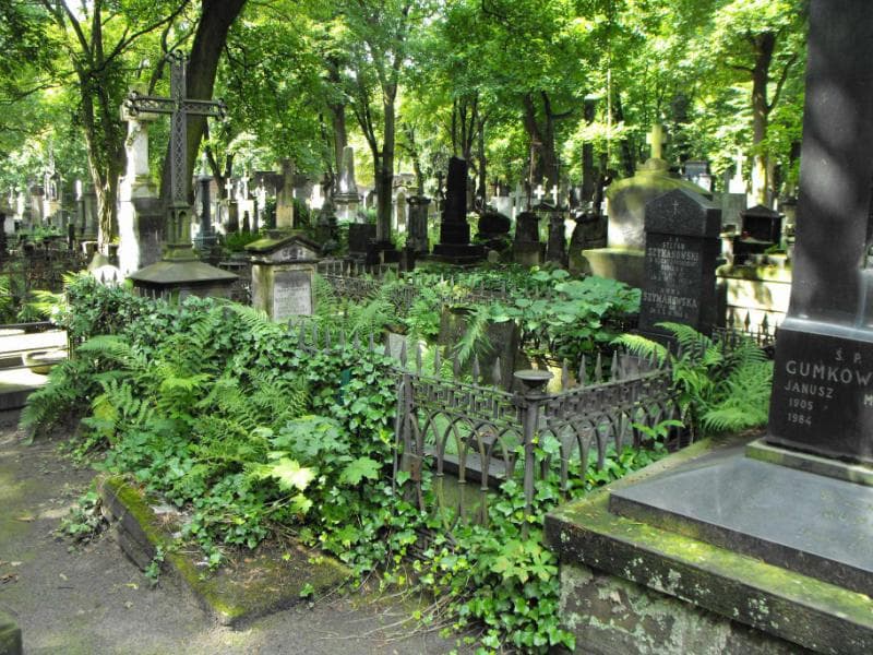 Zdjęcie grobu: Marja Lewandowska